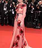 CannesGala_Arrivals029.jpg