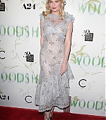 Woodshock_LosAngelesPremiere068.jpg