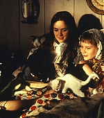 littlestill04.jpg