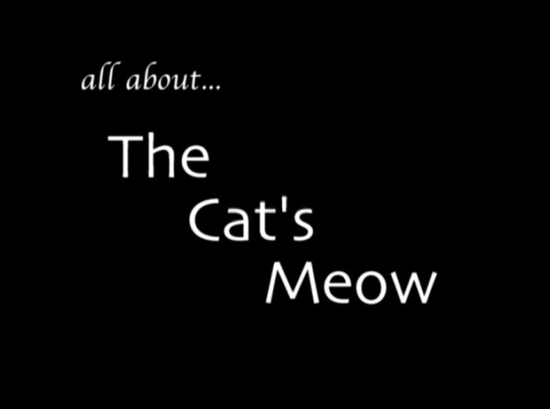 CatsMeow_MakingOf04.jpg