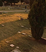 CrowDVD_279.jpg
