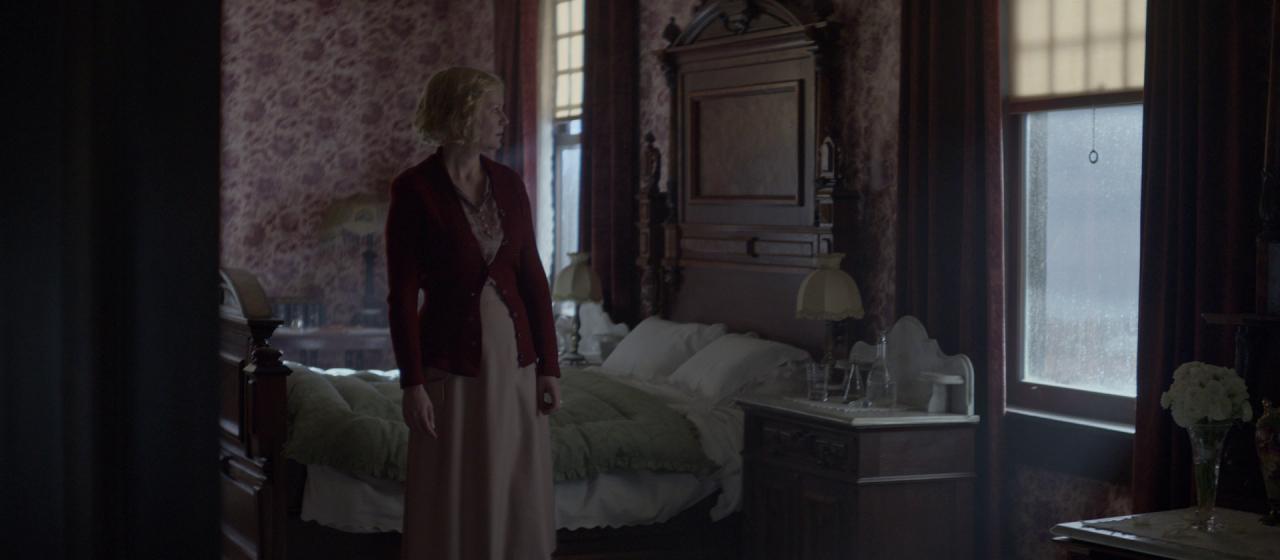 PowerOfTheDog_BluRay113.jpg