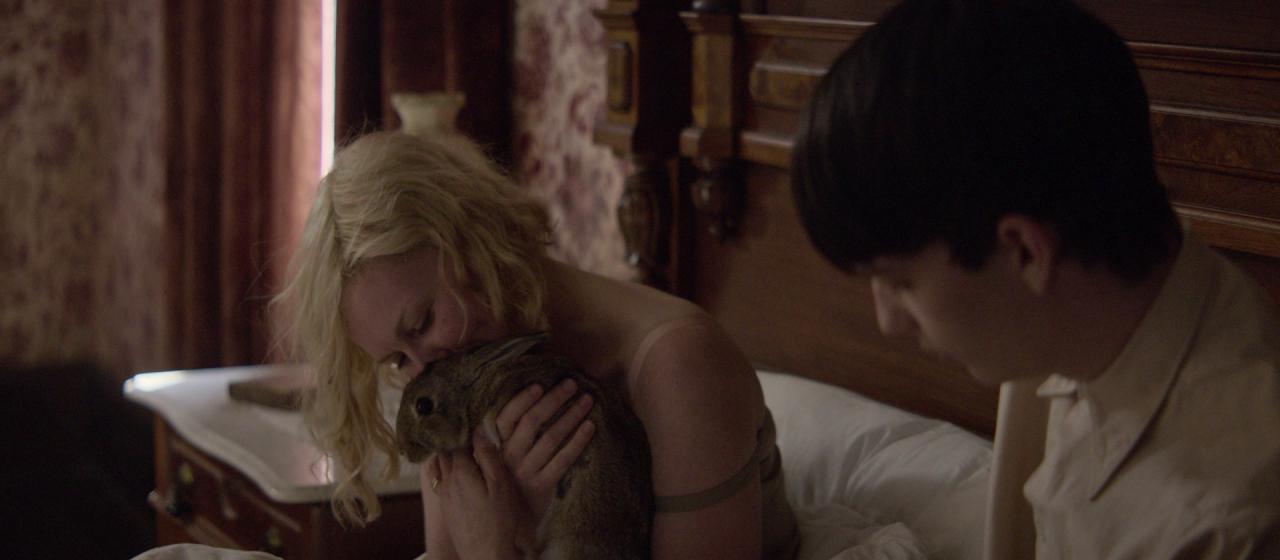 PowerOfTheDog_BluRay220.jpg