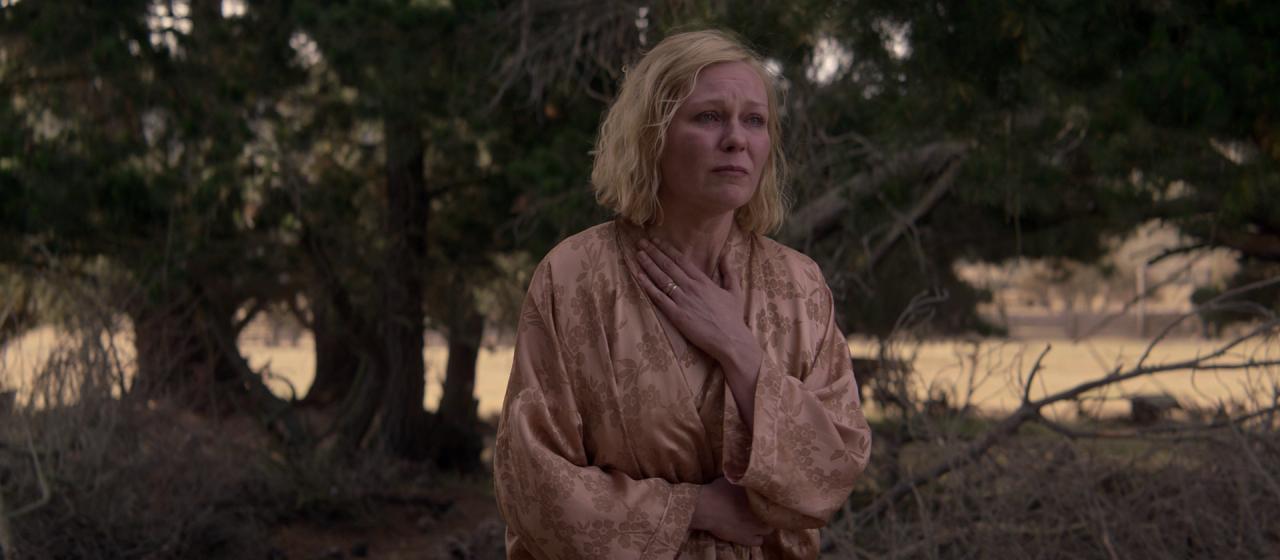 PowerOfTheDog_BluRay321.jpg
