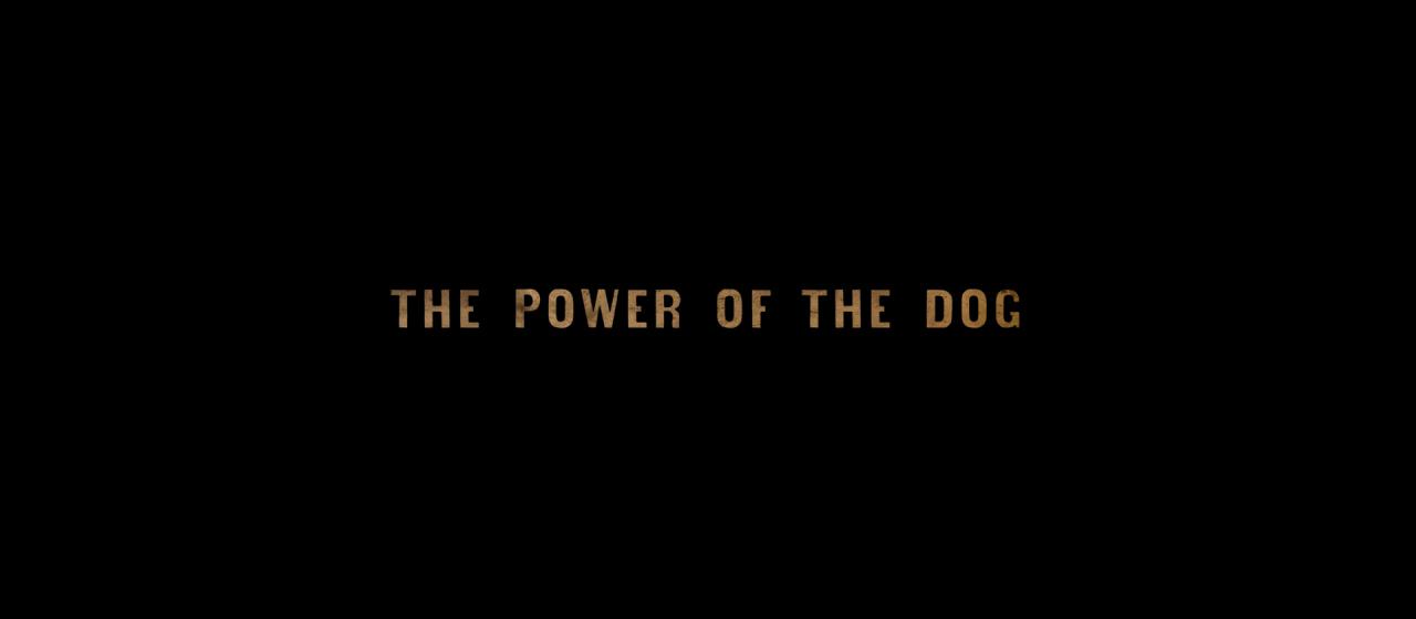 PowerOfTheDog_BluRay359.jpg