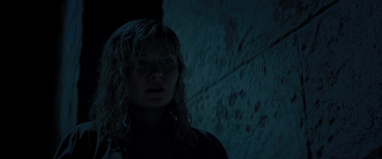 TwoFaces_BluRay378.jpg