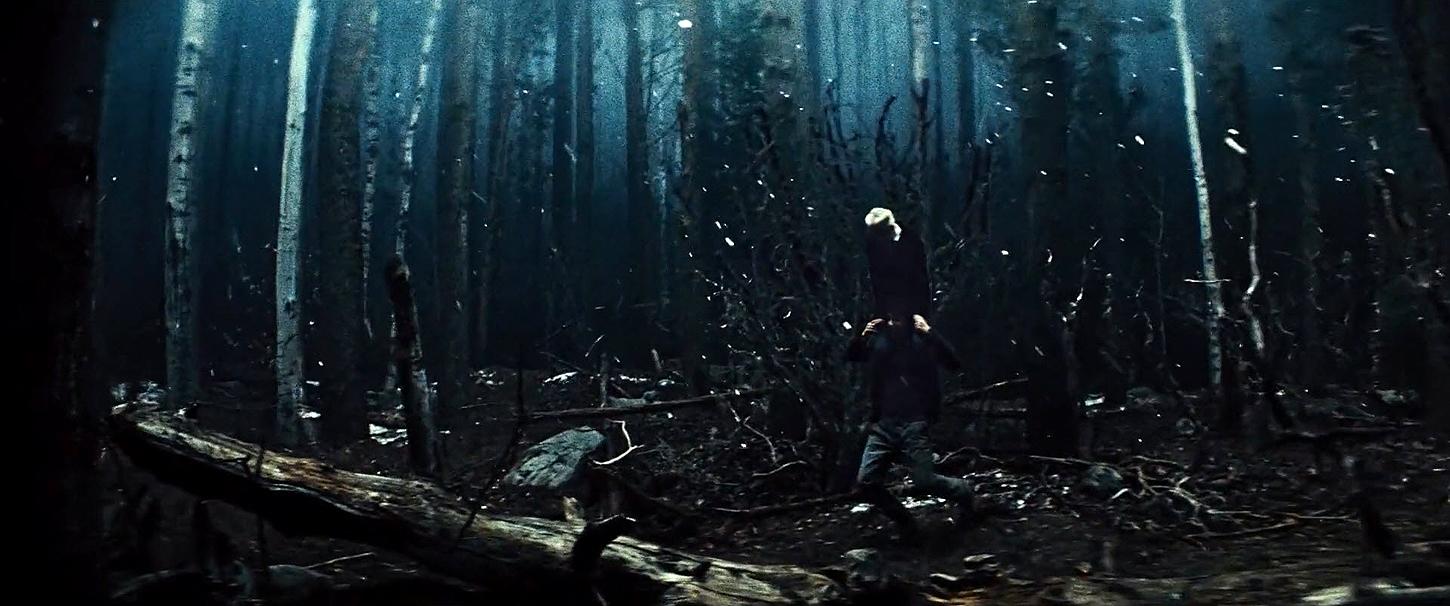 UpsideDown_BluRay039.jpg