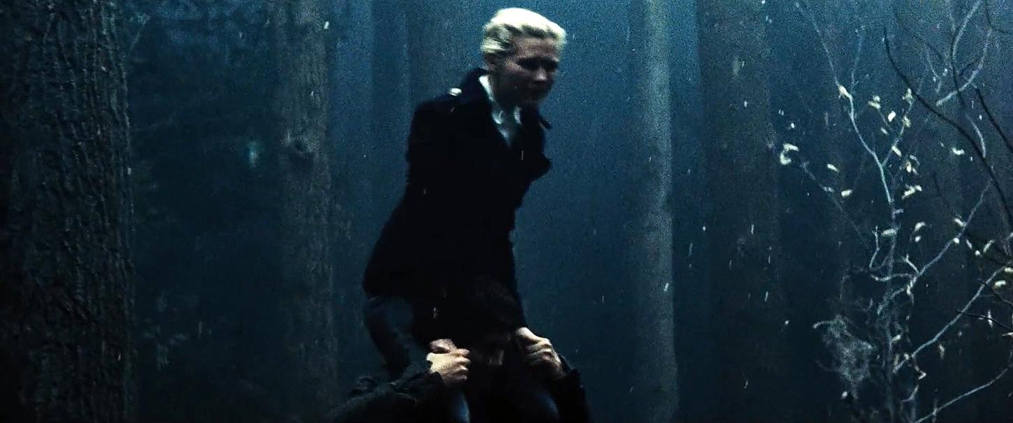 UpsideDown_BluRay047.jpg