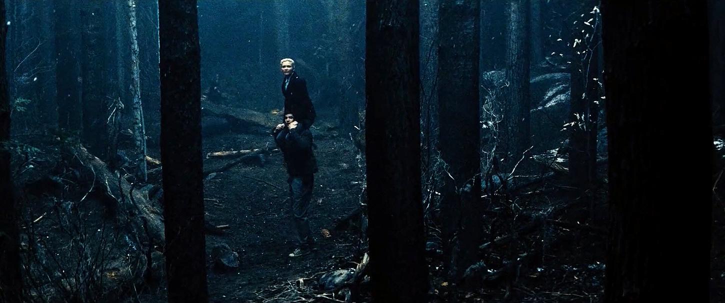 UpsideDown_BluRay053.jpg