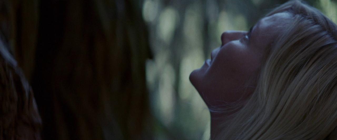 Woodshock_BluRay005.jpg