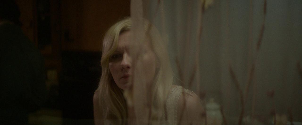 Woodshock_BluRay080.jpg