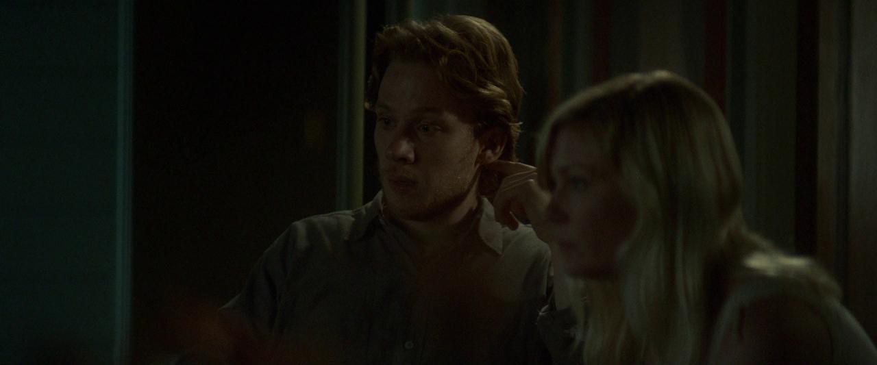 Woodshock_BluRay090.jpg