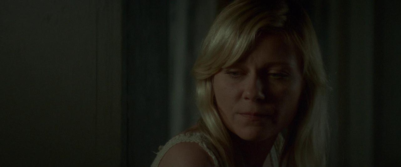 Woodshock_BluRay100.jpg