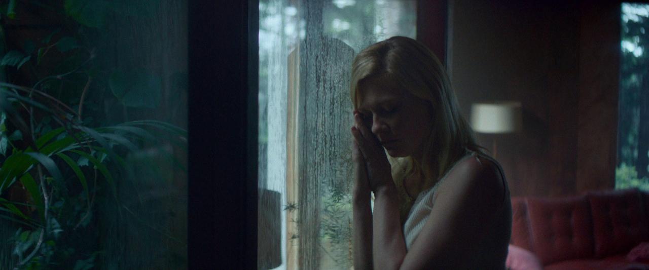 Woodshock_BluRay101.jpg