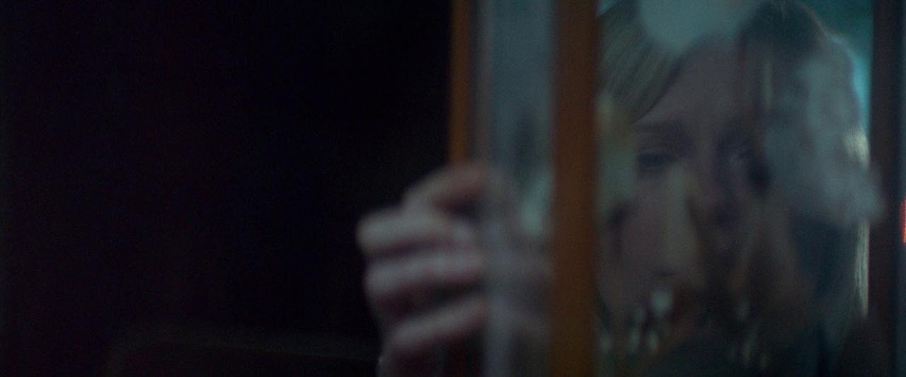 Woodshock_BluRay102.jpg
