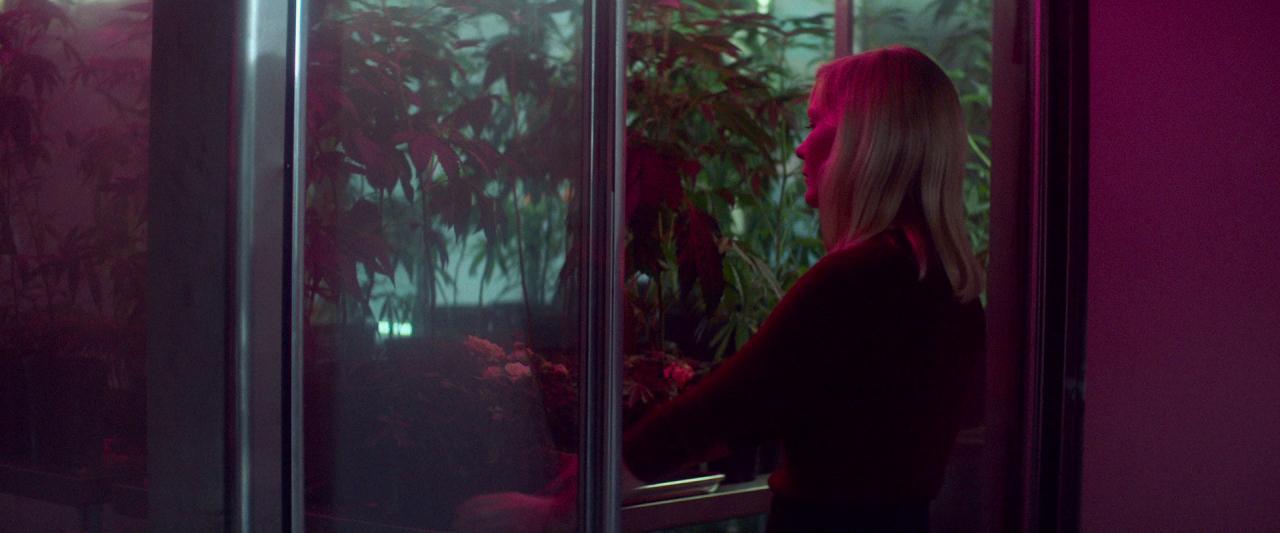 Woodshock_BluRay115.jpg