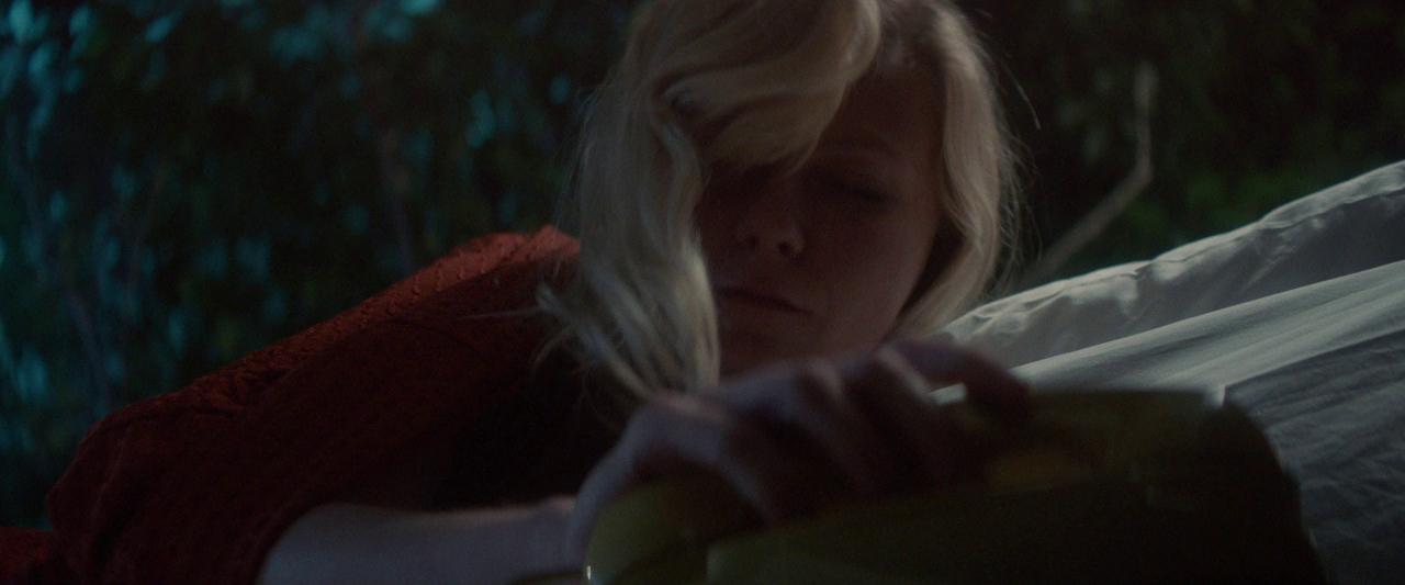 Woodshock_BluRay144.jpg