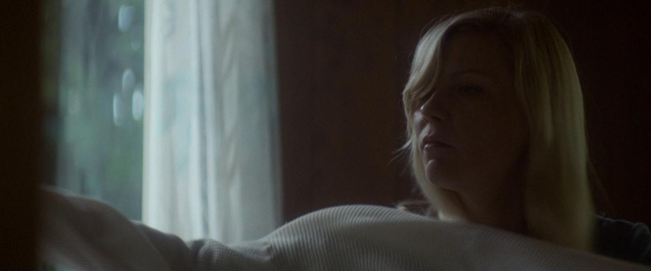 Woodshock_BluRay205.jpg