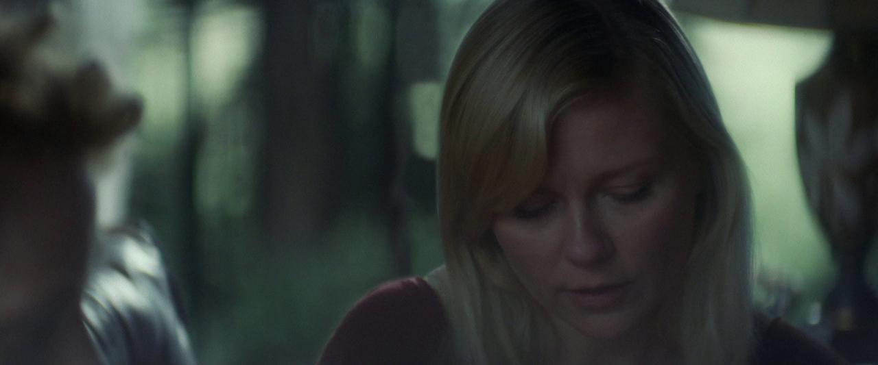 Woodshock_BluRay305.jpg