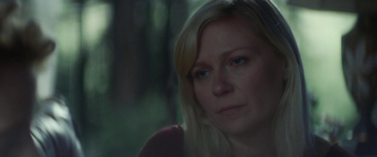 Woodshock_BluRay306.jpg