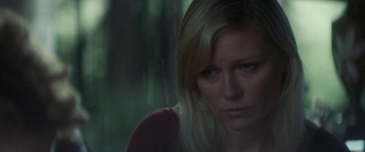 Woodshock_BluRay307.jpg