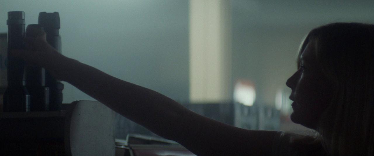 Woodshock_BluRay385.jpg