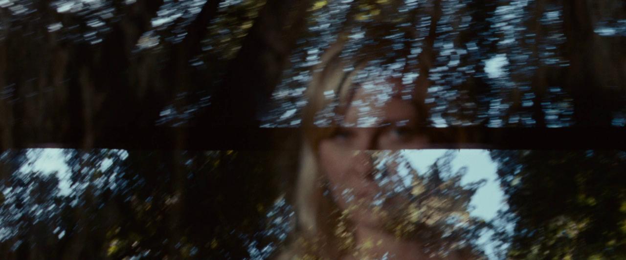 Woodshock_BluRay391.jpg