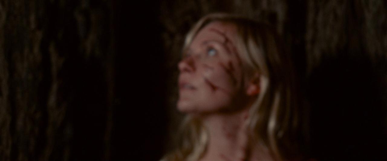 Woodshock_BluRay422.jpg