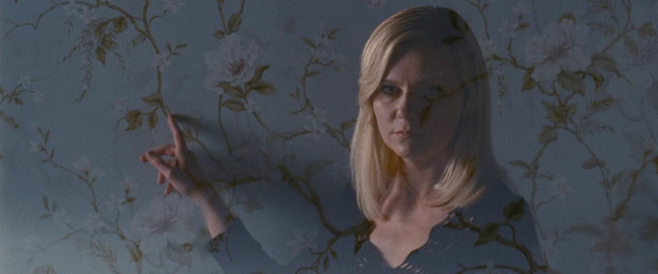 Woodshock_BluRay435.jpg