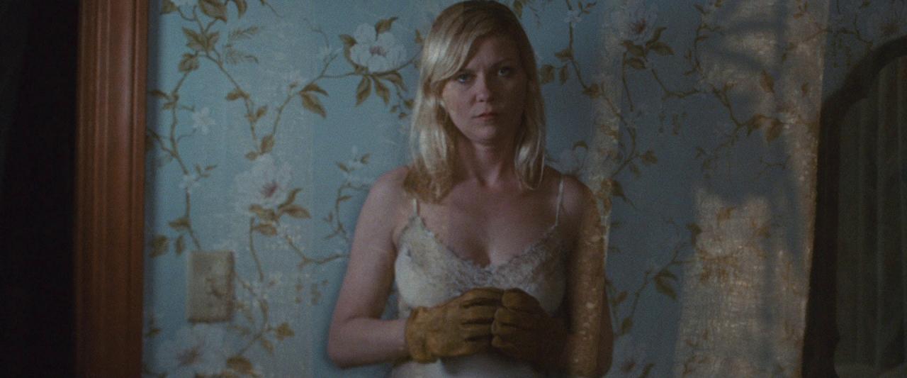 Woodshock_BluRay443.jpg