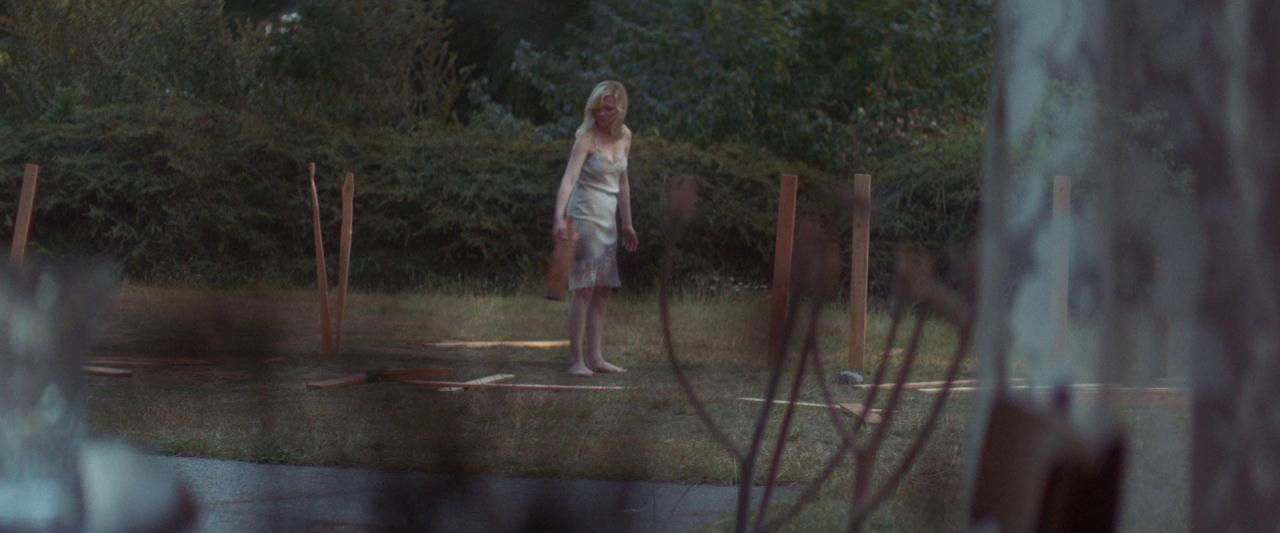 Woodshock_BluRay489.jpg