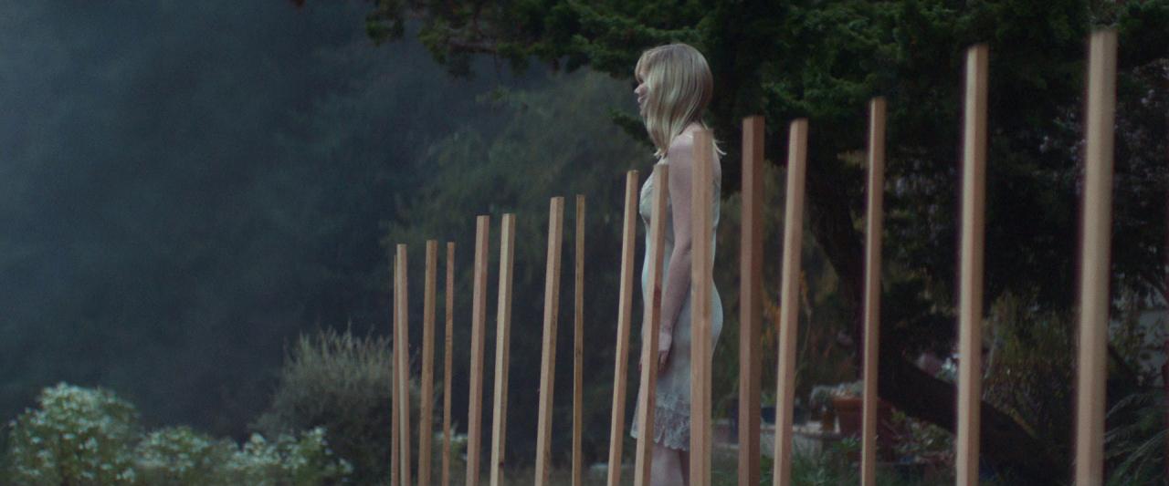 Woodshock_BluRay494.jpg