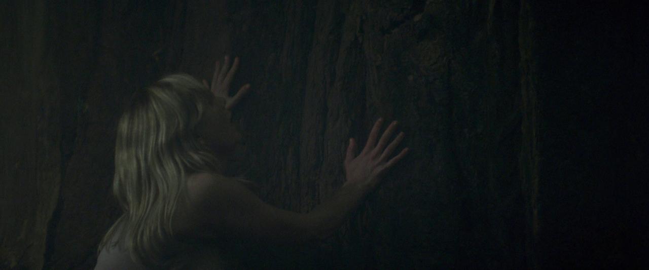 Woodshock_BluRay579.jpg