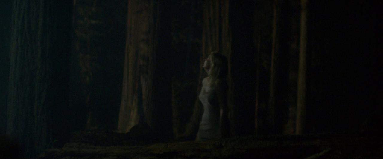 Woodshock_BluRay582.jpg