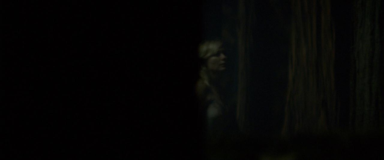 Woodshock_BluRay584.jpg