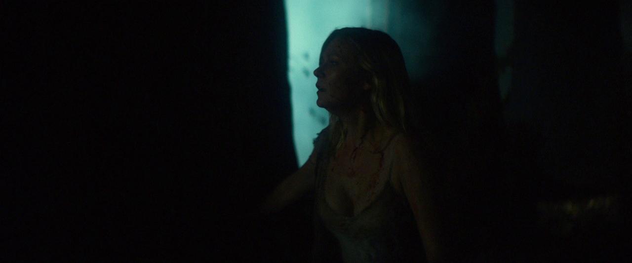 Woodshock_BluRay635.jpg