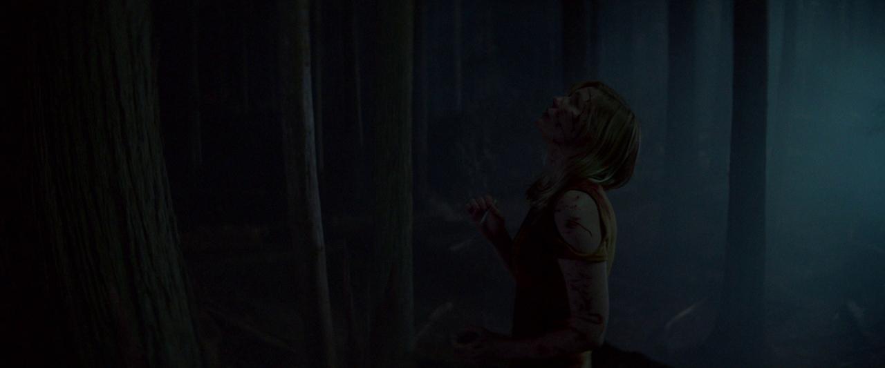 Woodshock_BluRay638.jpg