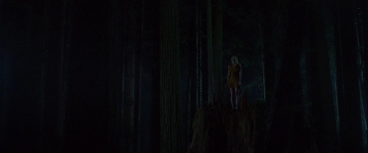 Woodshock_BluRay640.jpg