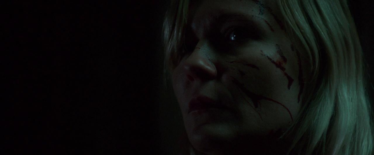 Woodshock_BluRay641.jpg