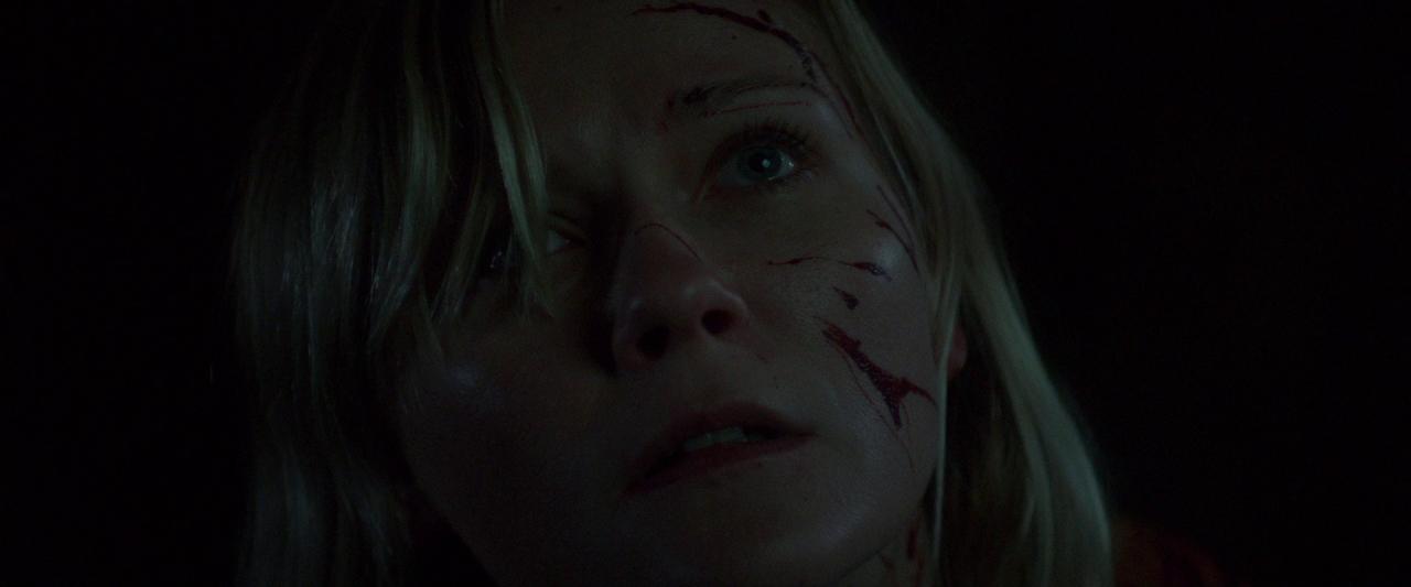 Woodshock_BluRay646.jpg