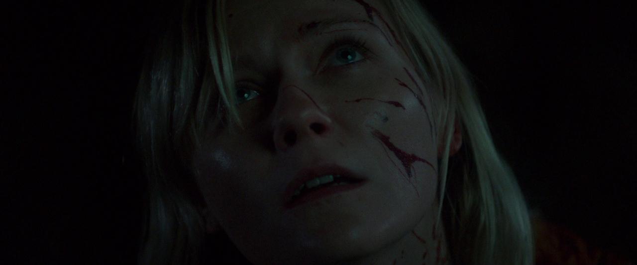 Woodshock_BluRay648.jpg