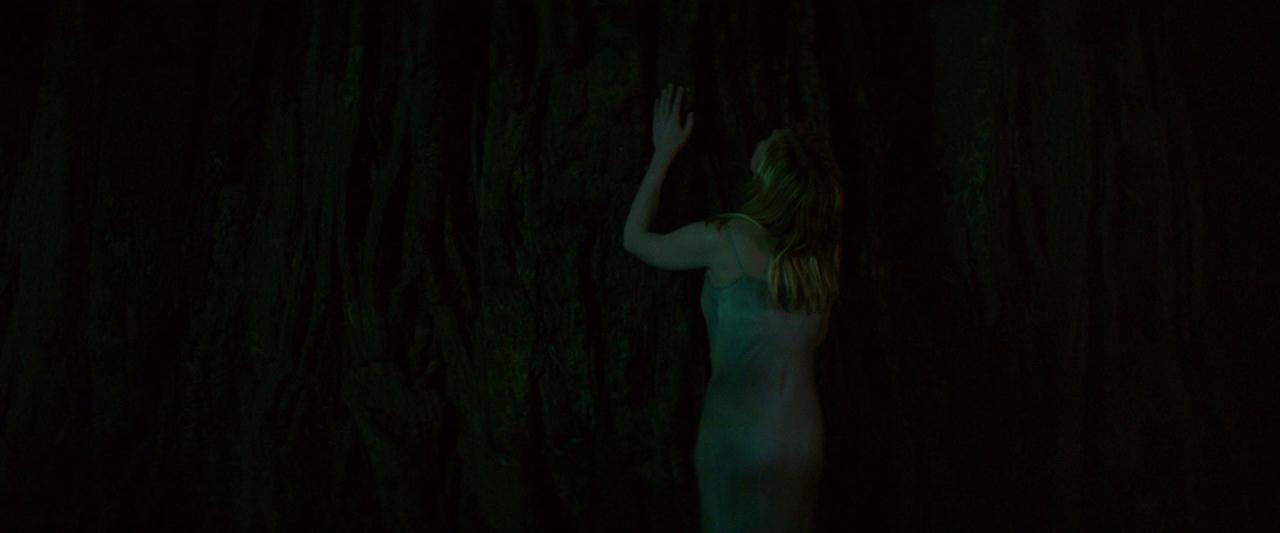 Woodshock_BluRay649.jpg
