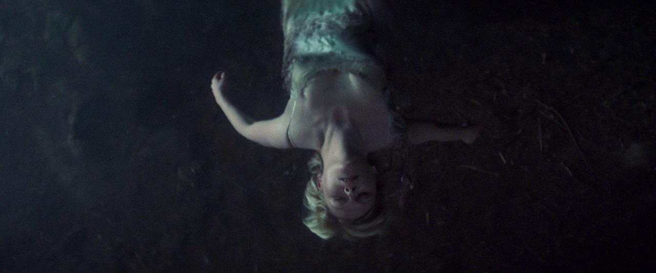 Woodshock_BluRay652.jpg