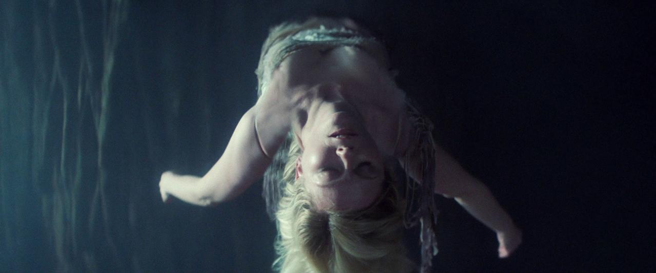 Woodshock_BluRay654.jpg