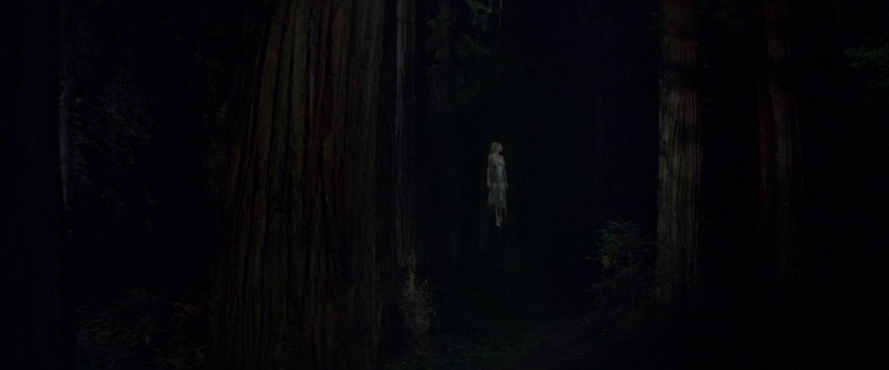 Woodshock_BluRay655.jpg
