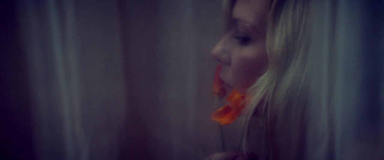 Woodshock_BluRay662.jpg