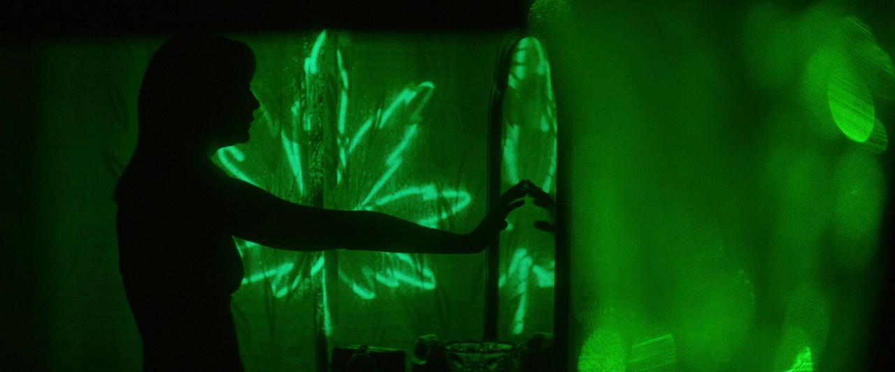 Woodshock_BluRay666.jpg