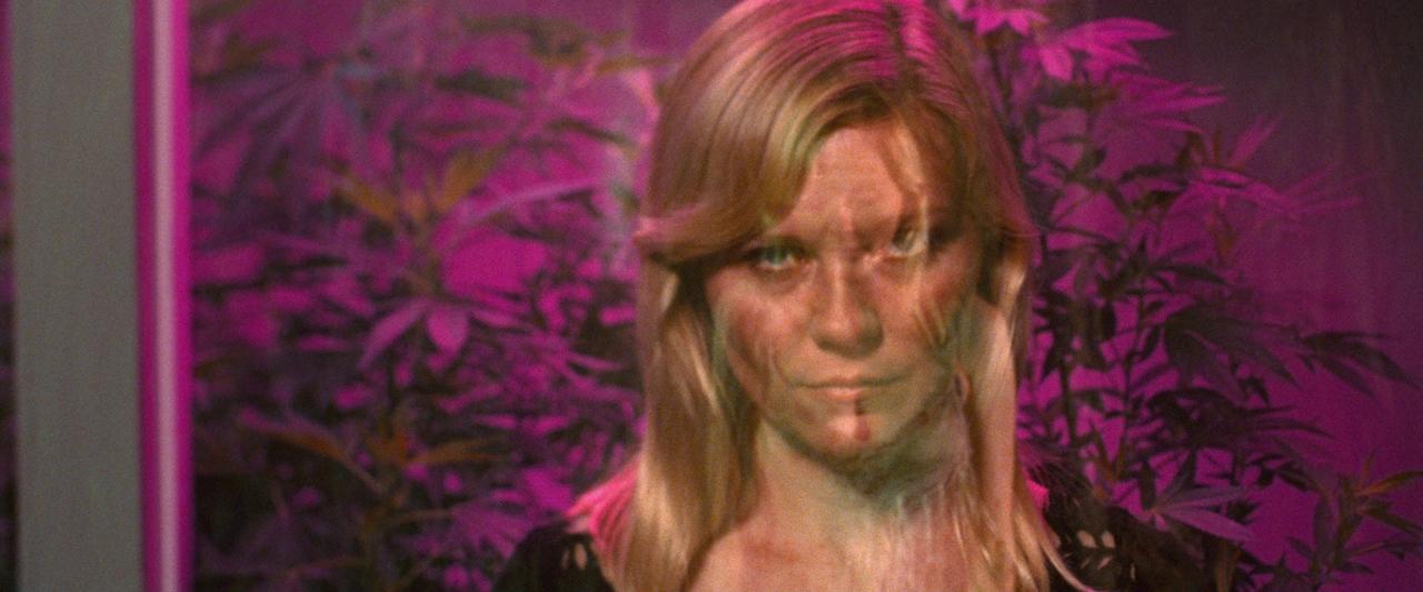 Woodshock_BluRay676.jpg