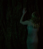 Woodshock_BluRay649.jpg