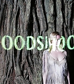 Woodshock_Still15.jpg